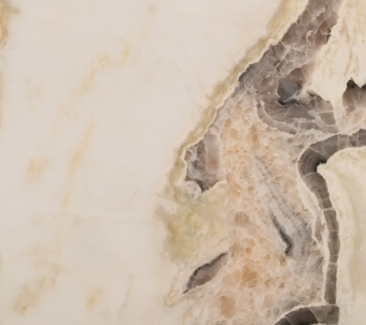 Quartzite countertop surface detail